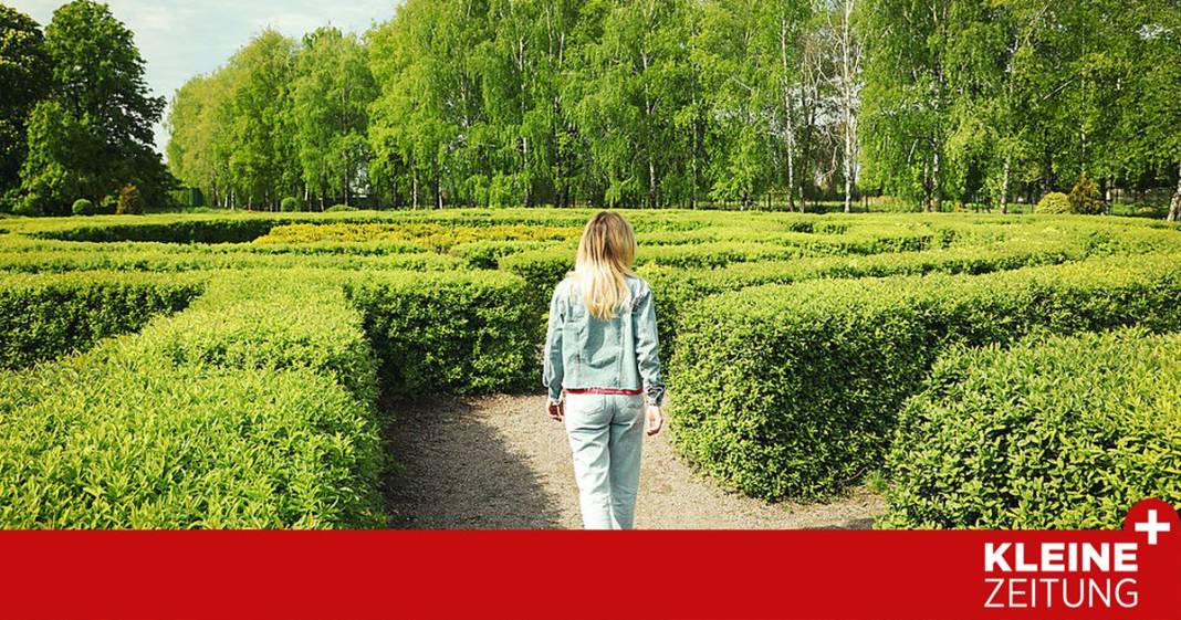 vertraegt-die-ligusterhecke-einen-radikalen-schnitt?