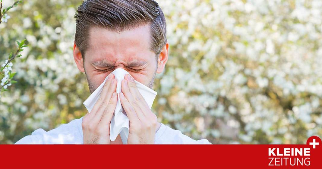 so-werden-sie-der-allergie-herr so-werden-sie-der-allergie-herr