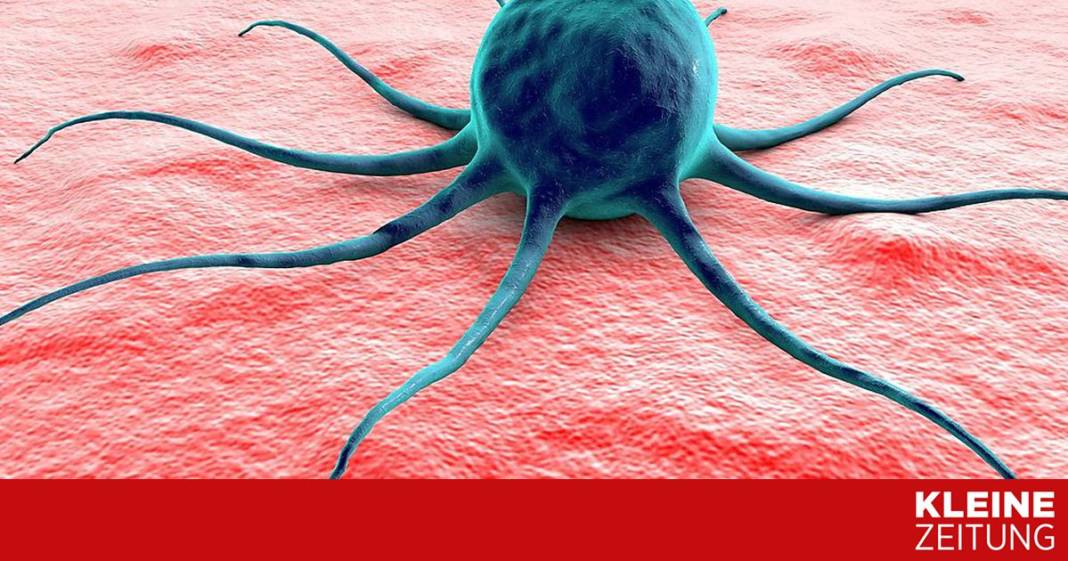 neue-methode,-um-resistenzen-gegen-krebsmedikamente-zu-ueberwinden neue-methode,-um-resistenzen-gegen-krebsmedikamente-zu-ueberwinden