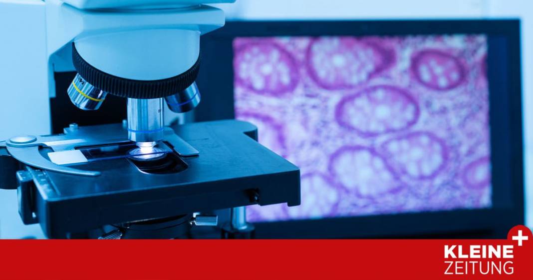 revolution-in-der-diagnostik:-algorithmen-sagen-krebs-den-kampf-an revolution-in-der-diagnostik:-algorithmen-sagen-krebs-den-kampf-an