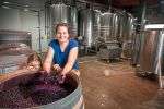 weissweinsorte-neu-entdeckt:-die-renaissance-des-furmint weissweinsorte-neu-entdeckt:-die-renaissance-des-furmint