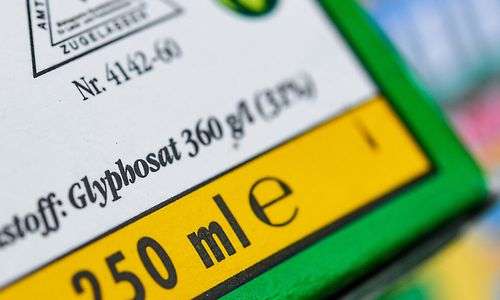 bayer-verliert-in-den-usa-weiteres-glyphosat-verfahren-in-berufung bayer-verliert-in-den-usa-weiteres-glyphosat-verfahren-in-berufung