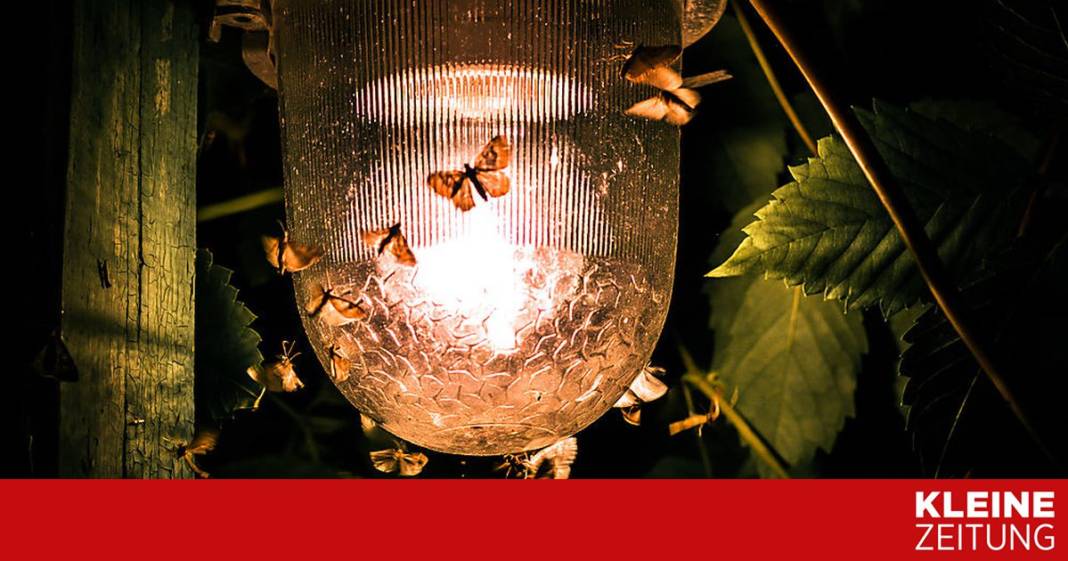 das-koennen-sie-gegen-lichtverschmutzung-tun das-koennen-sie-gegen-lichtverschmutzung-tun
