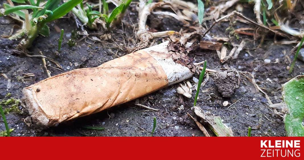 warum-achtlos-weggeworfene-zigarettenstummel-ein-grosses-umweltproblem-sind warum-achtlos-weggeworfene-zigarettenstummel-ein-grosses-umweltproblem-sind