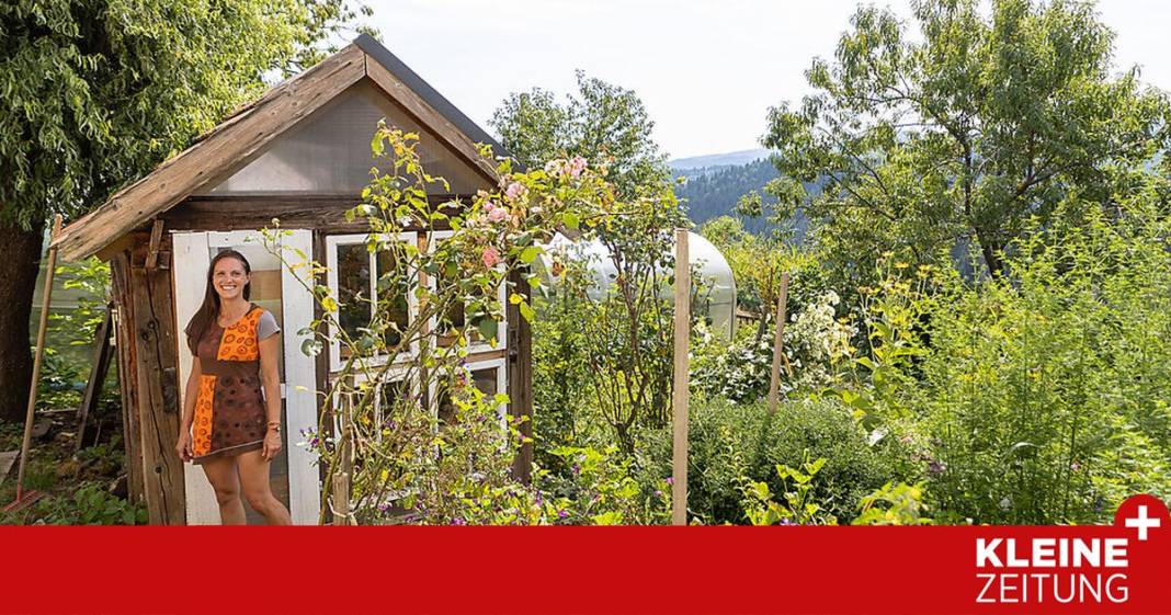ein-hof,-1000-geschichten