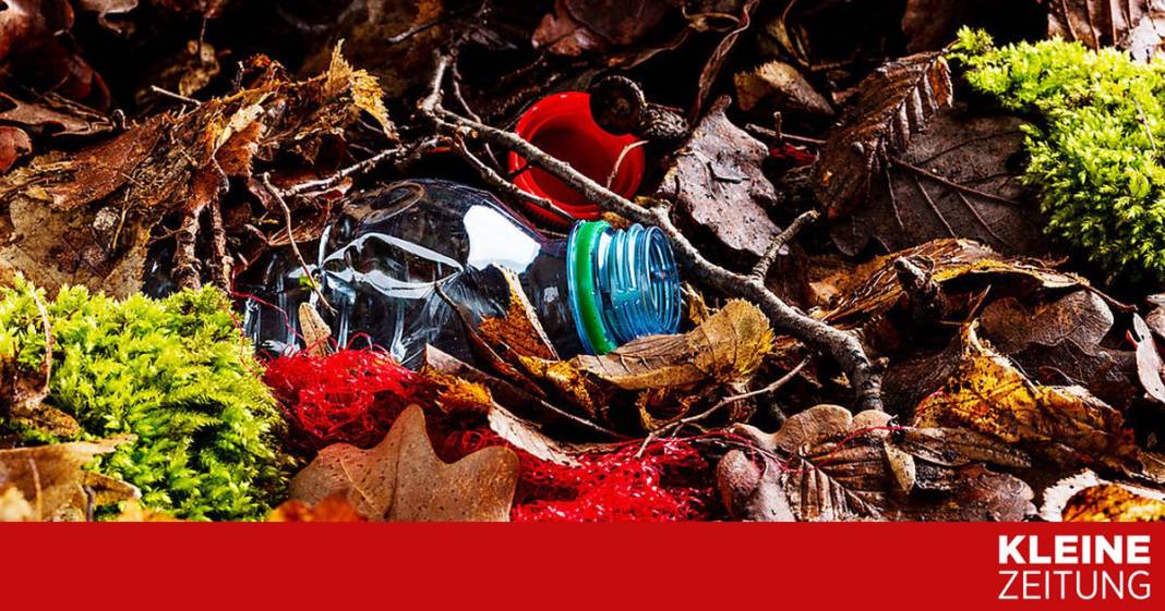 wie-lange-es-dauert,-bis-abfall-in-der-natur-verrottet wie-lange-es-dauert,-bis-abfall-in-der-natur-verrottet
