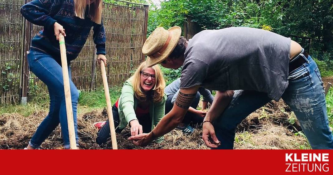 so-funktioniert-die-landwirtschaft-in-der-stadt