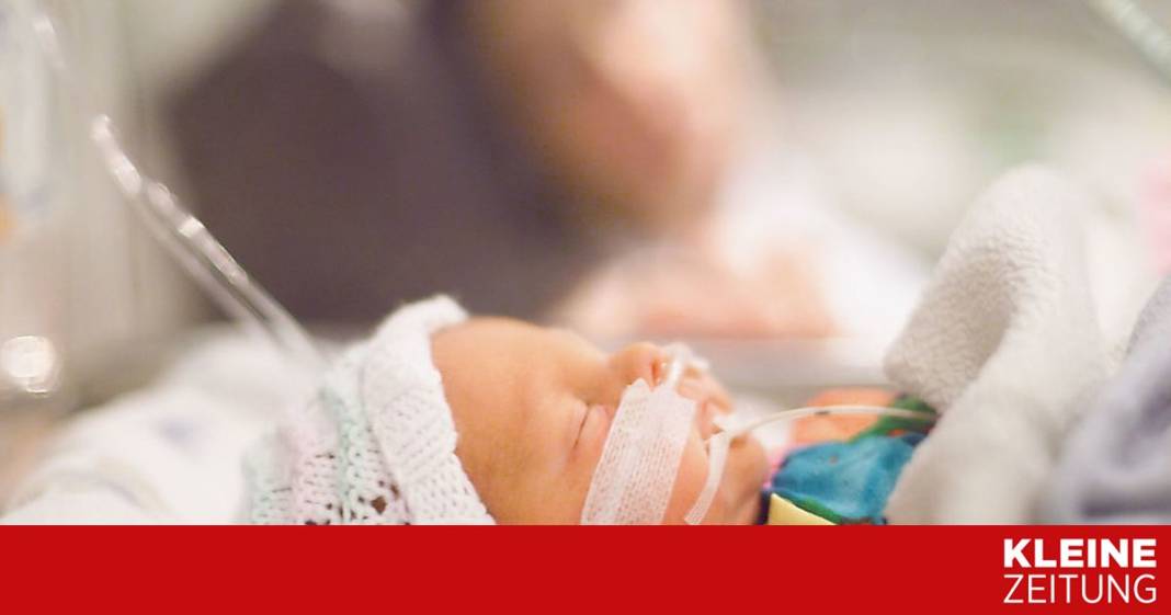 darmmikroben-ueberschuss-stoert-bei-fruehchen-hirnentwicklung darmmikroben-ueberschuss-stoert-bei-fruehchen-hirnentwicklung