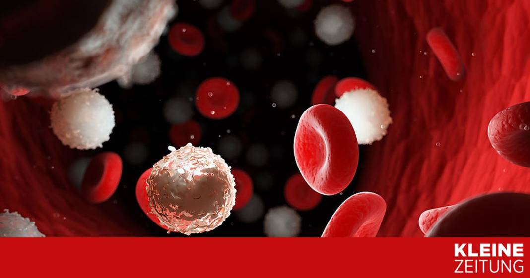 neue-therapie-als-hoffnung-fuer-leukaemie-patienten