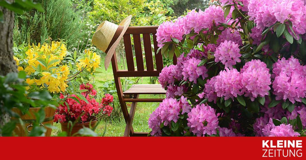 hitze-und-hagel:-karl-ploberger-zieht-sommerbilanz hitze-und-hagel:-karl-ploberger-zieht-sommerbilanz