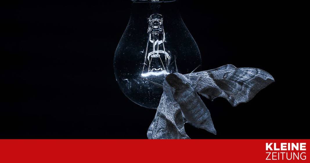 das-koennen-sie-gegen-lichtverschmutzung-tun
