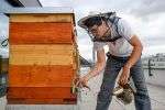 bezirkshonig:-wie-unterschiedlich-meidling-und-die-donaustadt-schmecken bezirkshonig:-wie-unterschiedlich-meidling-und-die-donaustadt-schmecken