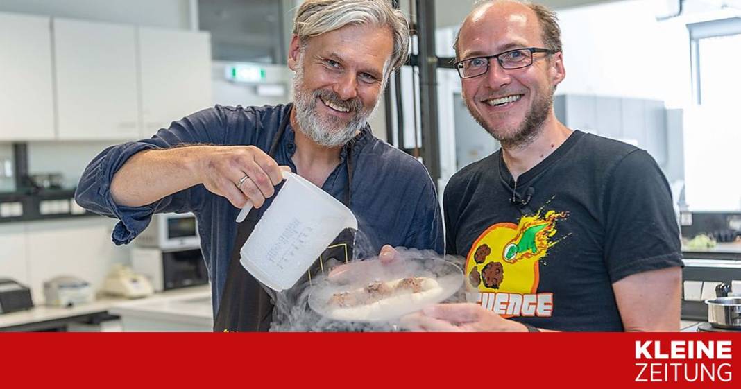 fuenf-mikroorganismen,-die-in-unsem-leben-mitmischen fuenf-mikroorganismen,-die-in-unsem-leben-mitmischen