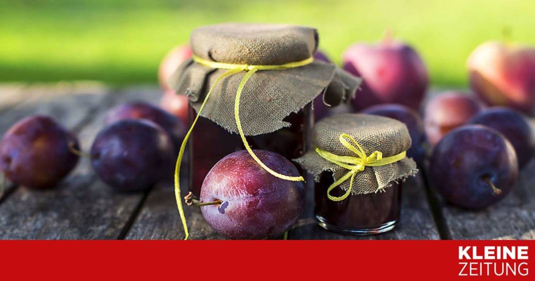 einkochen-mit-bettina-fink:-drei-rezepte-mit-zwetschken