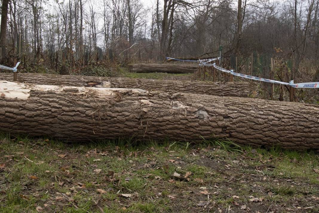 ueber-8.000-aktive-eroeffneten-crosslauf-saison-in-schweden