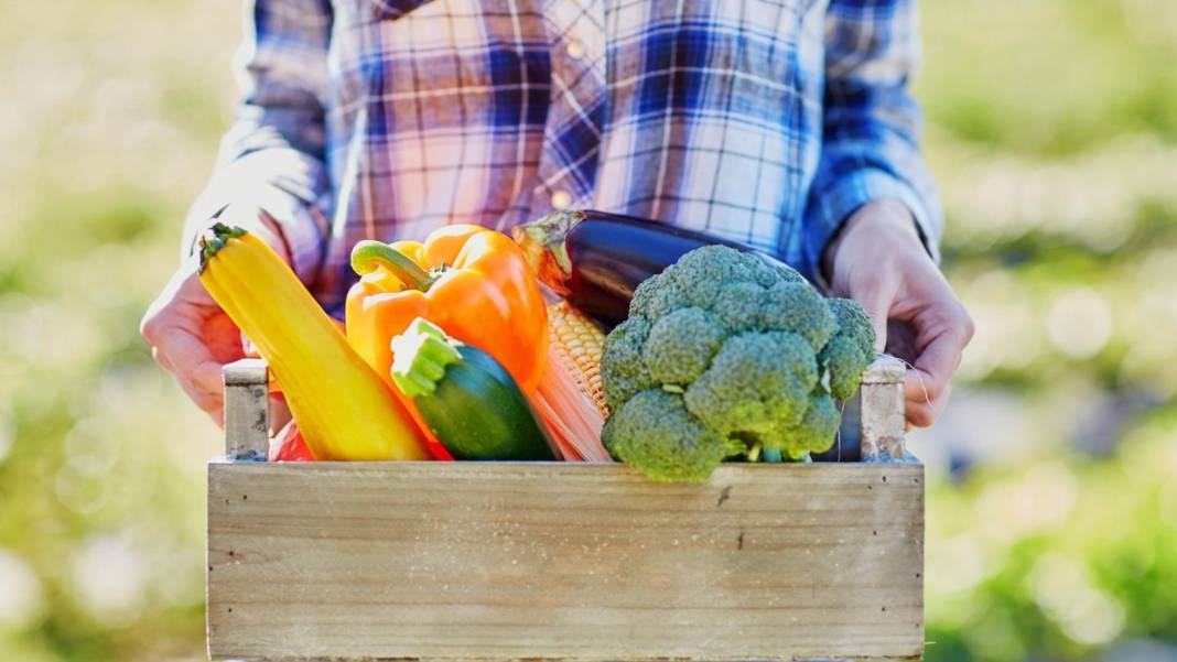 ernaehrung:-abnehmen-ohne-zu-hungern-–-so-kann-es-funktionieren ernaehrung:-abnehmen-ohne-zu-hungern-–-so-kann-es-funktionieren