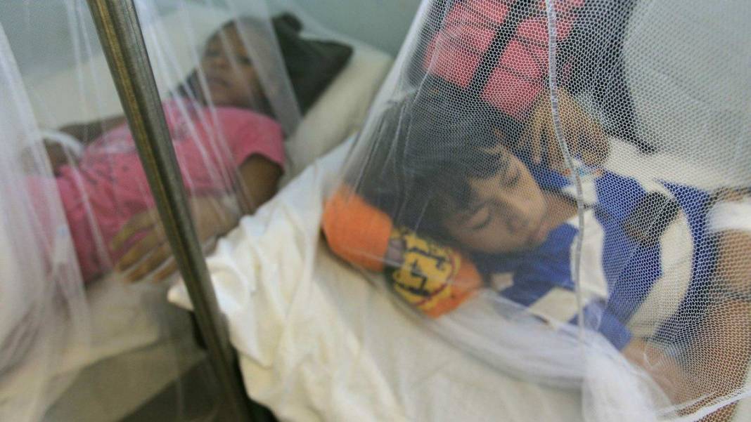 erstes-moegliches-gegenmittel-gegen-dengue-fieber-entdeckt
