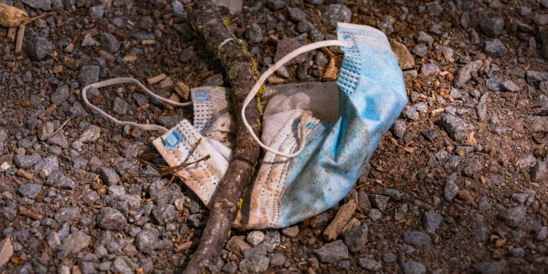 kolumne:-"so-laeuft-es"-–-todes-falle-fuer-voegel-und-igel:-hoert-endlich-auf,-eure-masken-ueberall-hinzuwerfen! kolumne:-"so-laeuft-es"-–-todes-falle-fuer-voegel-und-igel:-hoert-endlich-auf,-eure-masken-ueberall-hinzuwerfen!
