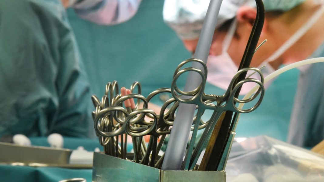forschung-zur-organtransplantation:-us-chirurgen-gelingt-erfolgreiche-schweinenieren-transplantation-an-mensch forschung-zur-organtransplantation:-us-chirurgen-gelingt-erfolgreiche-schweinenieren-transplantation-an-mensch