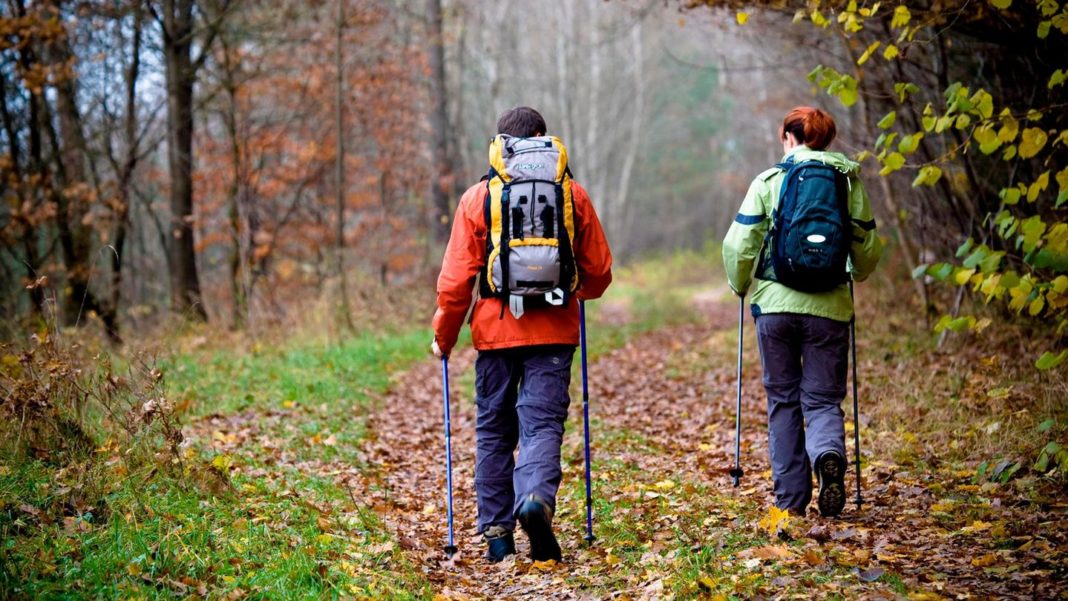 erfahrungsbericht:-ich-habe-versucht,-100-kilometer-am-stueck-zu-laufen-–-so-fuehlt-es-sich-an erfahrungsbericht:-ich-habe-versucht,-100-kilometer-am-stueck-zu-laufen-–-so-fuehlt-es-sich-an
