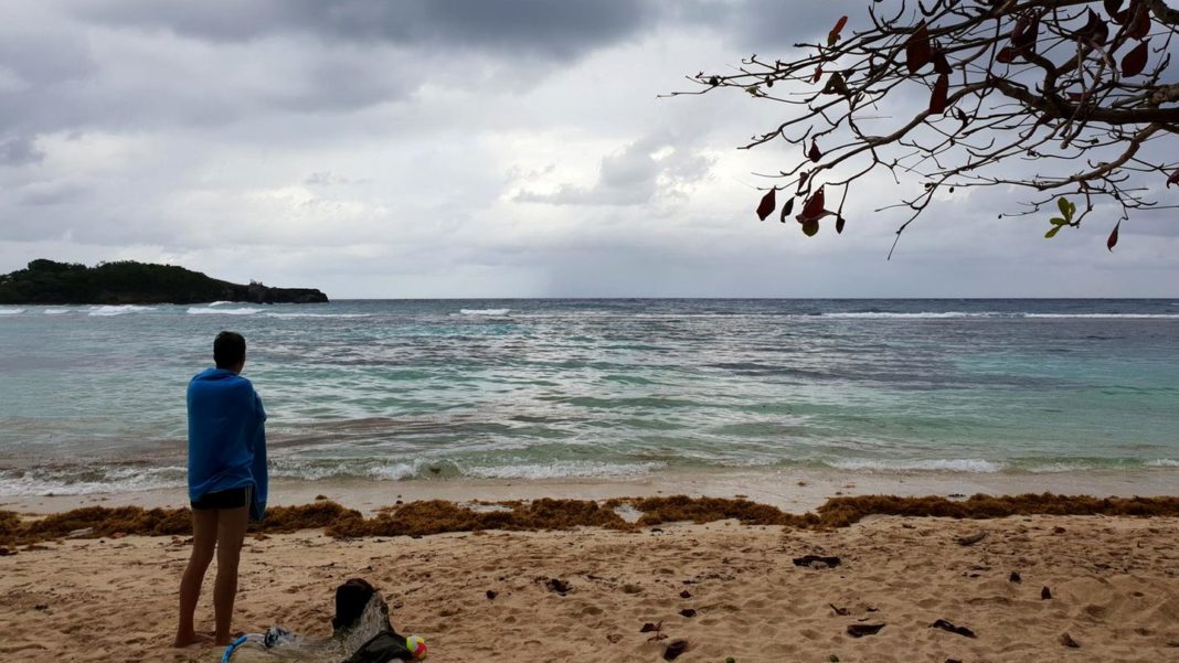 karibik:-in-dieser-bucht-vor-jamaica-verlor-er-irgendwo-seinen-ehering.-und-so-fand-er-ihn-wieder karibik:-in-dieser-bucht-vor-jamaica-verlor-er-irgendwo-seinen-ehering.-und-so-fand-er-ihn-wieder