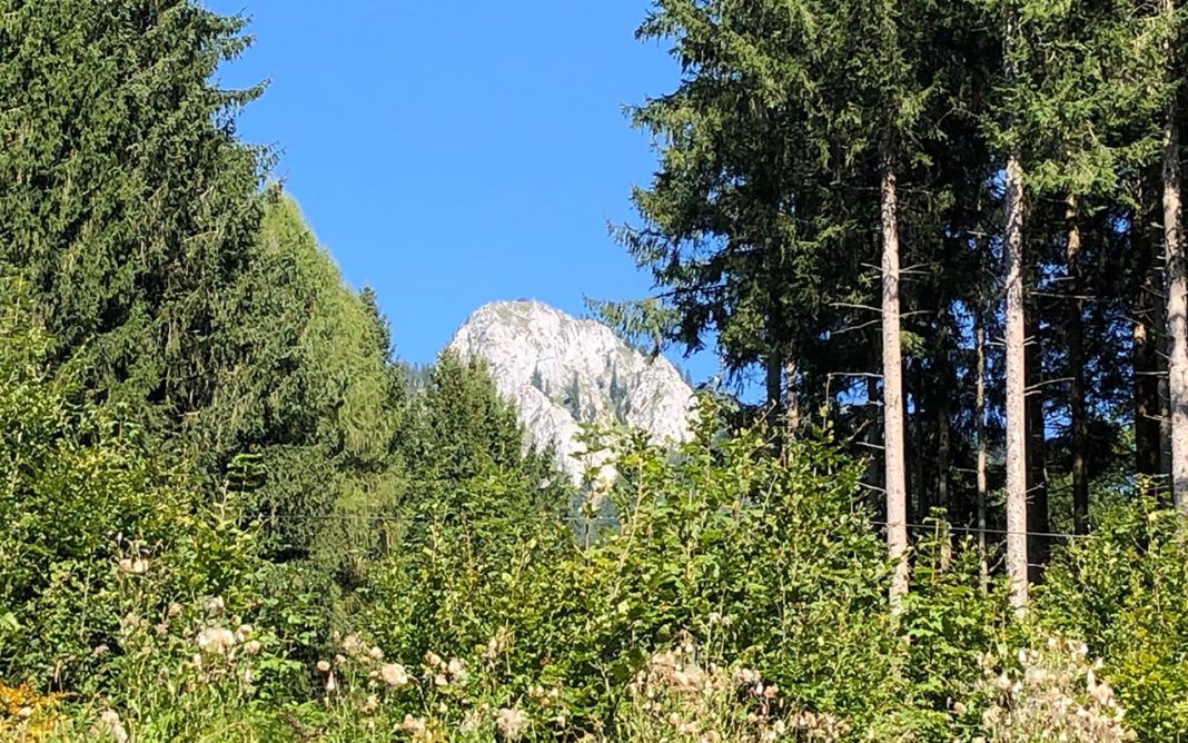 berglauf-und-trailrunning-wm-im-november-2022 berglauf-und-trailrunning-wm-im-november-2022