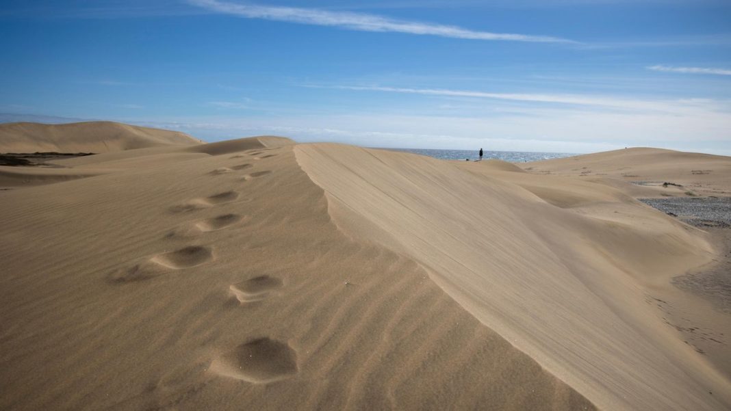 gran-canaria:-touristen-lieben-sex-in-den-duenen-von-maspalomas-–-und-zerstoeren-damit-die-natur