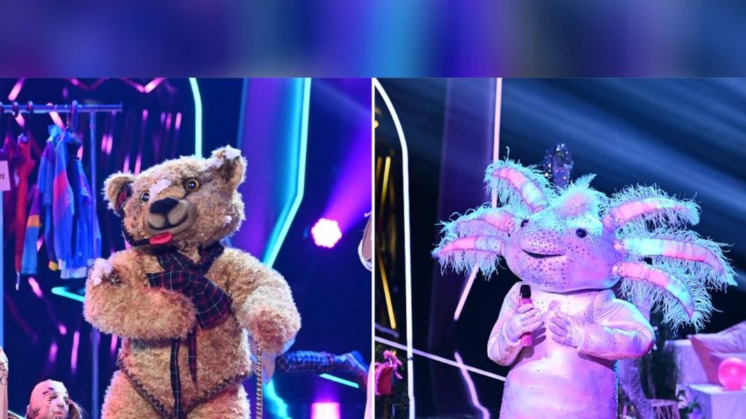 “the-masked-singer”:-diese-stars-steckten-im-teddy-und-axolotl “the-masked-singer”:-diese-stars-steckten-im-teddy-und-axolotl