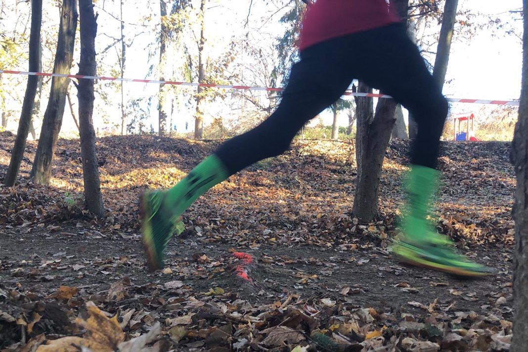 siegreiche-crosslauf-rueckkehr-fuer-klosterhalfen siegreiche-crosslauf-rueckkehr-fuer-klosterhalfen