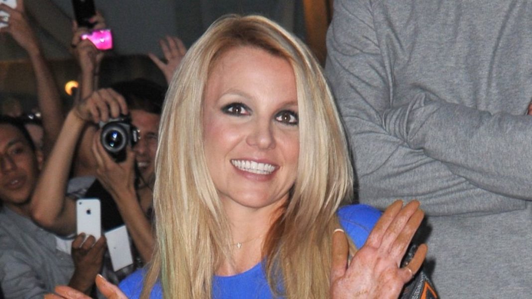 britney-spears:-das-sind-ihre-grossen-plaene-in-freiheit