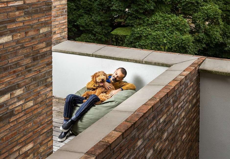 neue-designer-stuehle:-hunde-nehmen-platz neue-designer-stuehle:-hunde-nehmen-platz