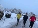 winter-in-schoenbrunn:-ein-traum-in-weiss winter-in-schoenbrunn:-ein-traum-in-weiss