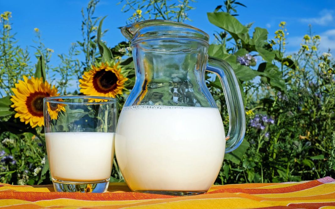 milch-wichtiges-getraenk-fuer-laeufer milch-wichtiges-getraenk-fuer-laeufer