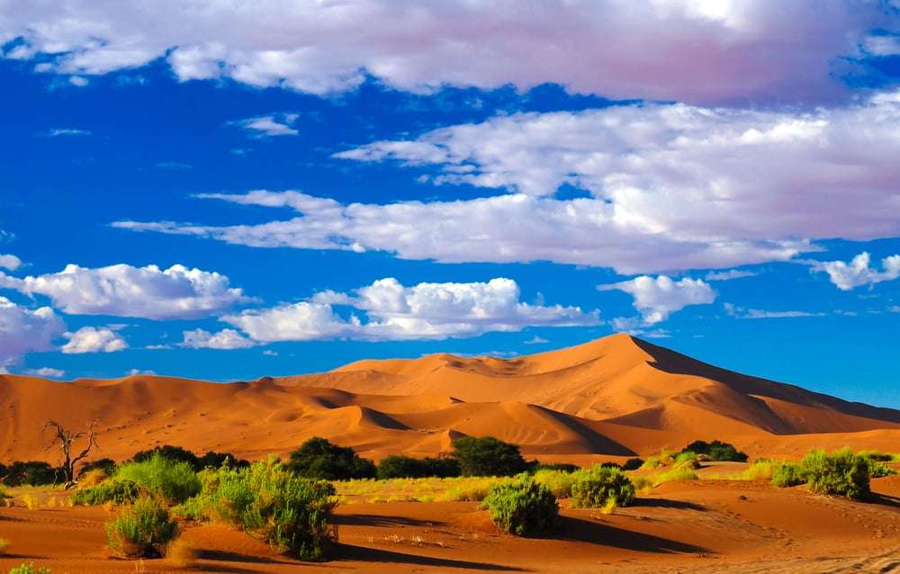namib-naukluft-nationalpark:-afrikanische-vielseitigkeit-in-namibia namib-naukluft-nationalpark:-afrikanische-vielseitigkeit-in-namibia