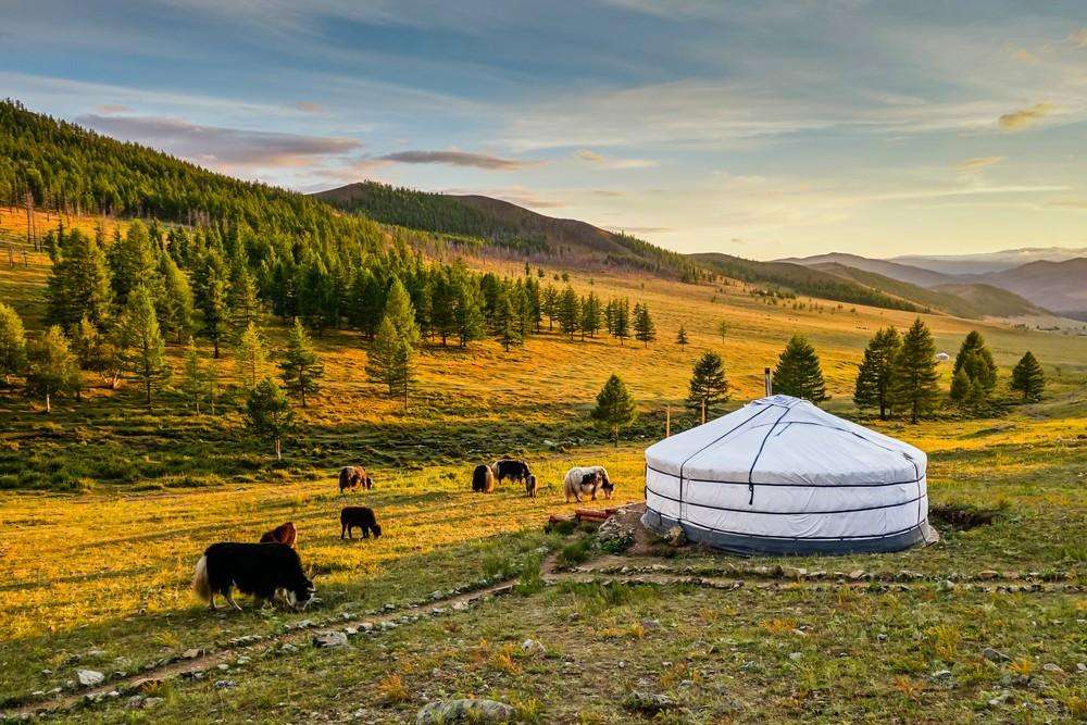 mongolei-–-eine-reise-in-eine-ferne-welt mongolei-–-eine-reise-in-eine-ferne-welt