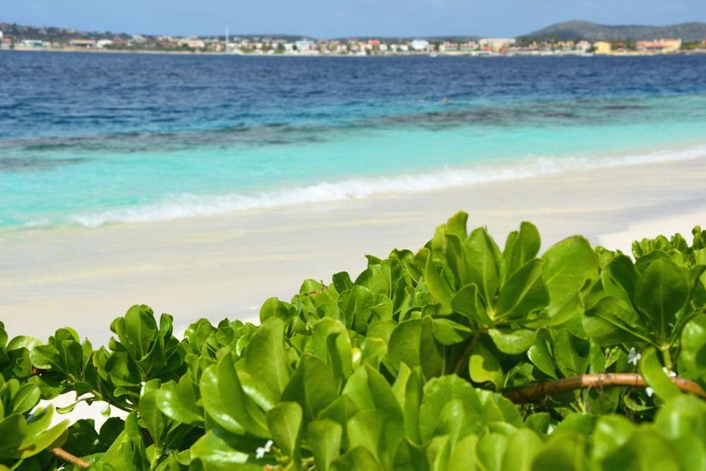 bonaire-–-von-der-sklaveninsel-zum-urlaubsparadies bonaire-–-von-der-sklaveninsel-zum-urlaubsparadies