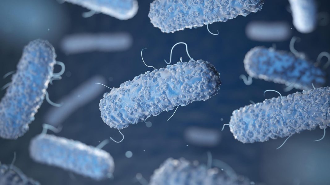 antibiotika-bericht:-mehr-tote-als-durch-malaria-und-hiv:-antibiotika-resistenzen-verantwortlich-fuer-1,2-millionen-todesfaelle antibiotika-bericht:-mehr-tote-als-durch-malaria-und-hiv:-antibiotika-resistenzen-verantwortlich-fuer-1,2-millionen-todesfaelle