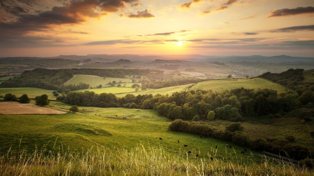 umweltschutz:-britische-landbesitzer-sollen-teile-ihres-grundbesitzes-der-natur-ueberlassen umweltschutz:-britische-landbesitzer-sollen-teile-ihres-grundbesitzes-der-natur-ueberlassen