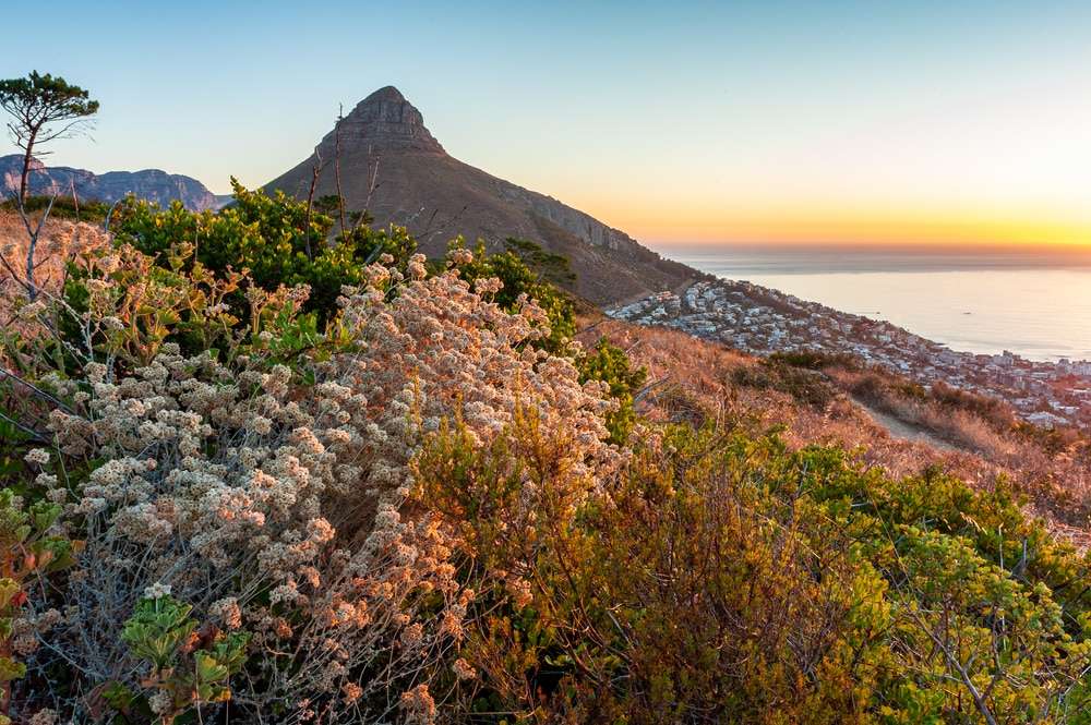 die-beliebtesten-reiseziele-in-suedafrika die-beliebtesten-reiseziele-in-suedafrika
