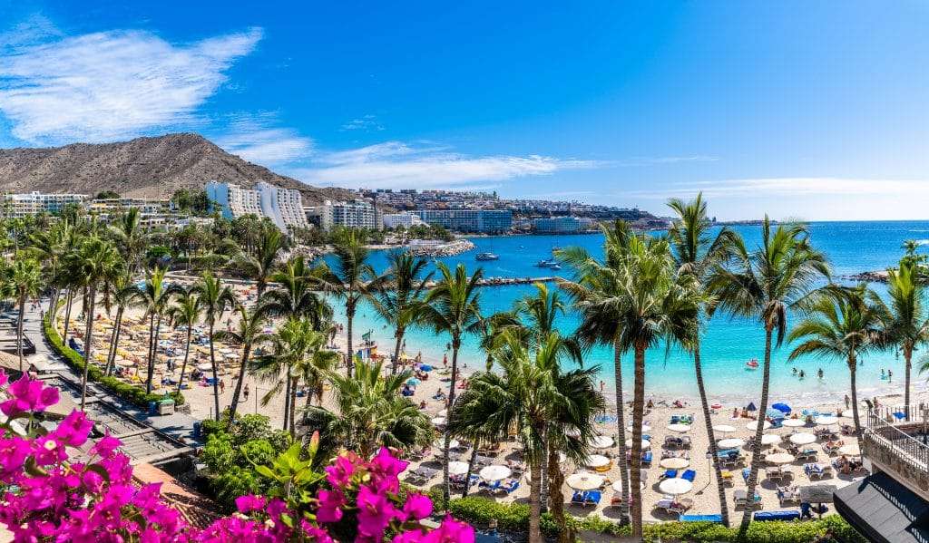 gran-canaria-–-fuer-viele-eine-trauminsel gran-canaria-–-fuer-viele-eine-trauminsel