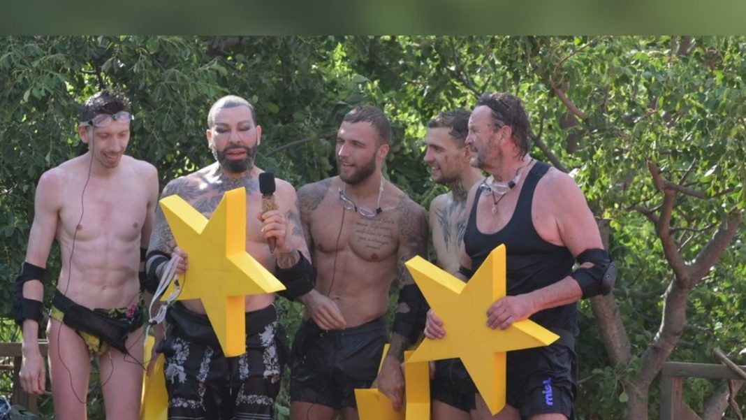 dschungelcamp:-diese-drei-promis-sind-im-finale