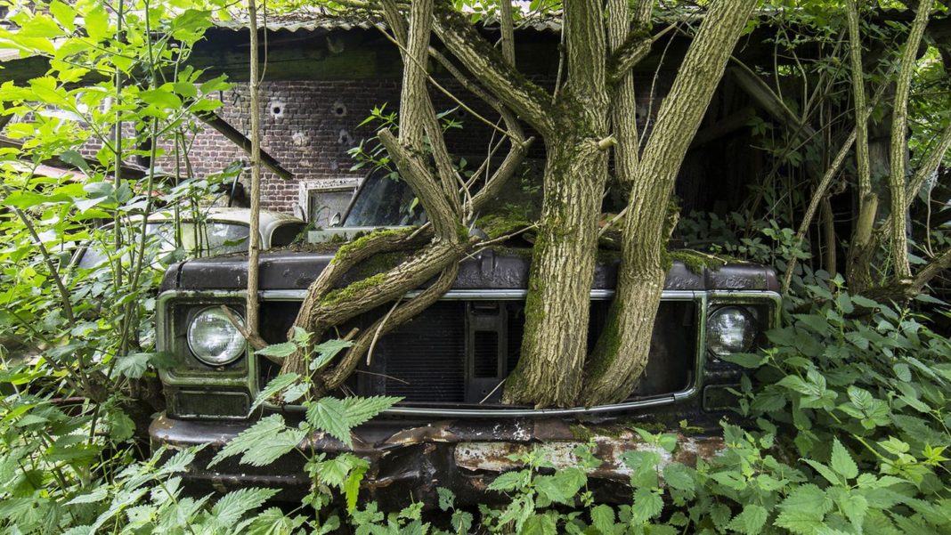 “naturalia”-von-jonathan-jimenez:-lost-places:-wo-die-natur-alle-reste-der-zivilisation-ueberwuchert “naturalia”-von-jonathan-jimenez:-lost-places:-wo-die-natur-alle-reste-der-zivilisation-ueberwuchert