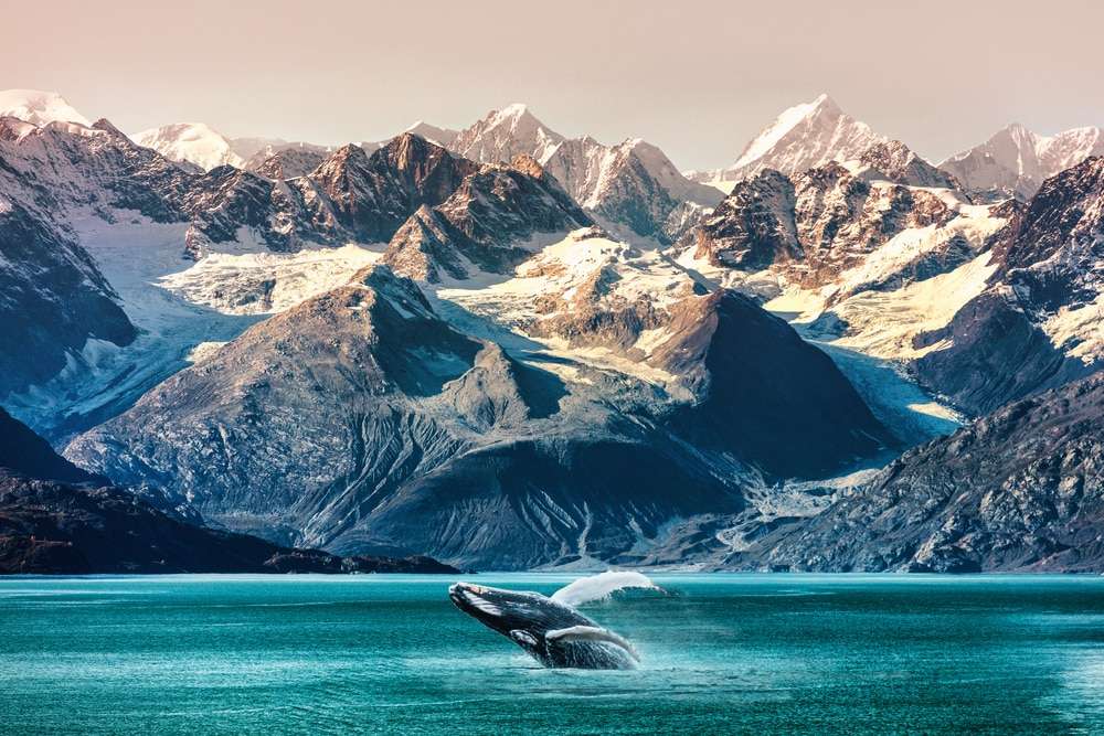 alaska-–-last-frontier-und-nordamerikanisches-naturwunder alaska-–-last-frontier-und-nordamerikanisches-naturwunder