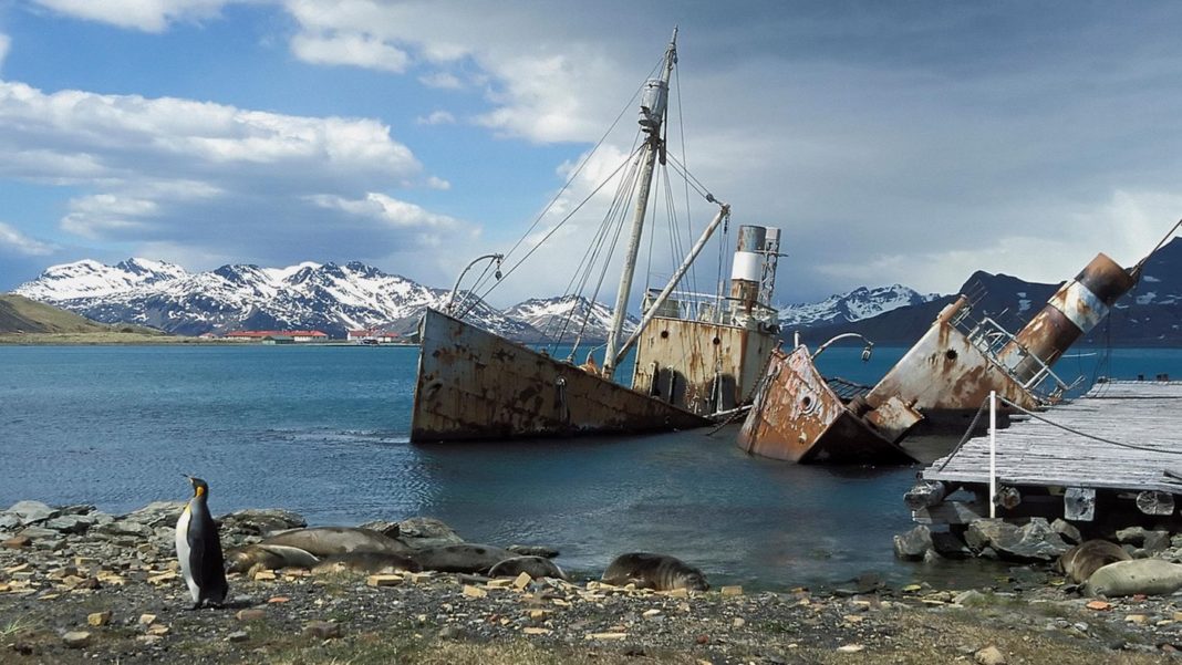 lost-places-in-suedgeorgien:-am-ende-der-welt:-die-verlassene-walfangstation-grytviken
