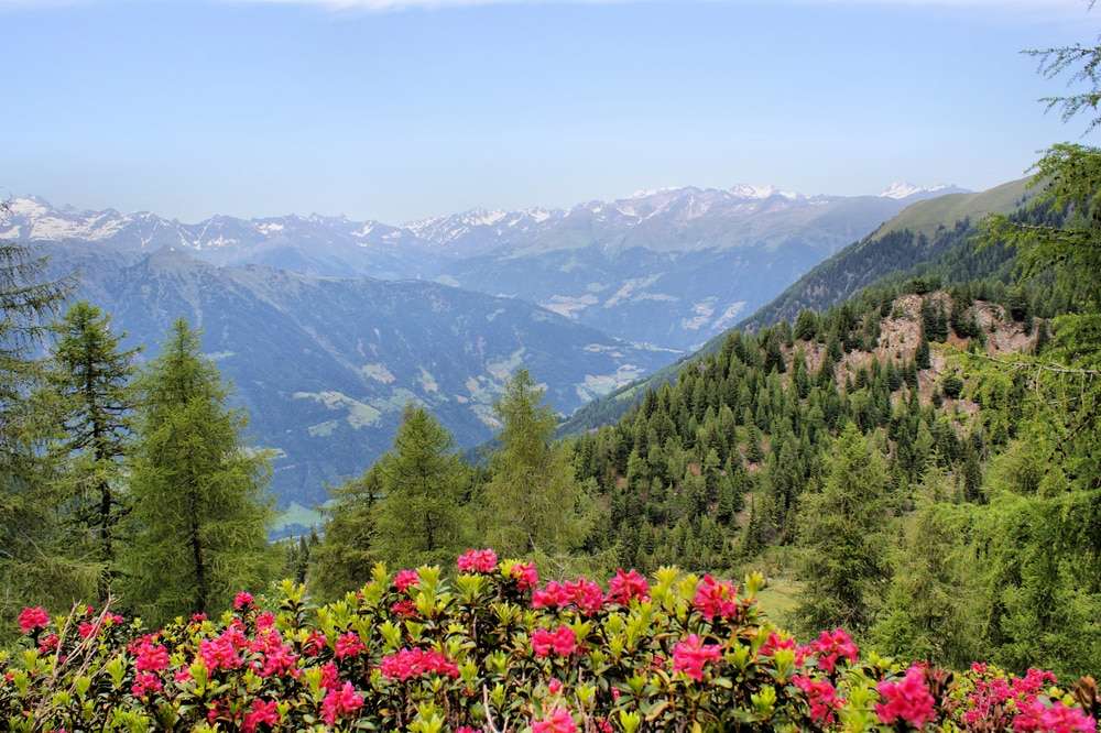 aktivurlaub-zum-entspannen-im-passeiertal:-diese-sportarten-eignen-sich-fuer-ihren-naechsten-urlaub aktivurlaub-zum-entspannen-im-passeiertal:-diese-sportarten-eignen-sich-fuer-ihren-naechsten-urlaub