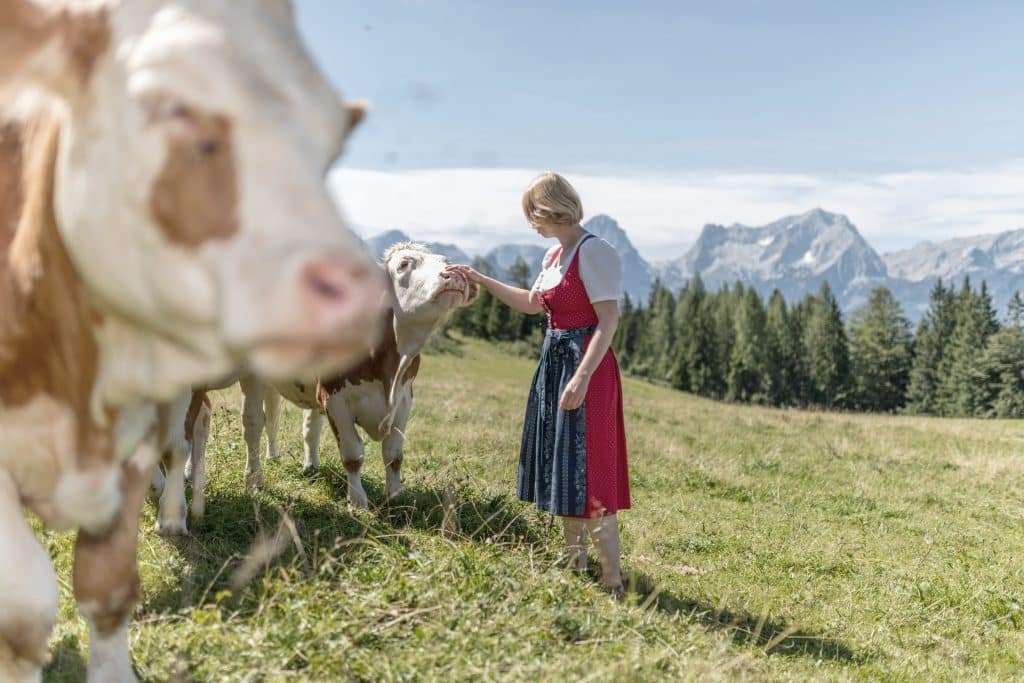 alpine-pearls:-klimafreundlicher-urlaub-in-den-bergen alpine-pearls:-klimafreundlicher-urlaub-in-den-bergen