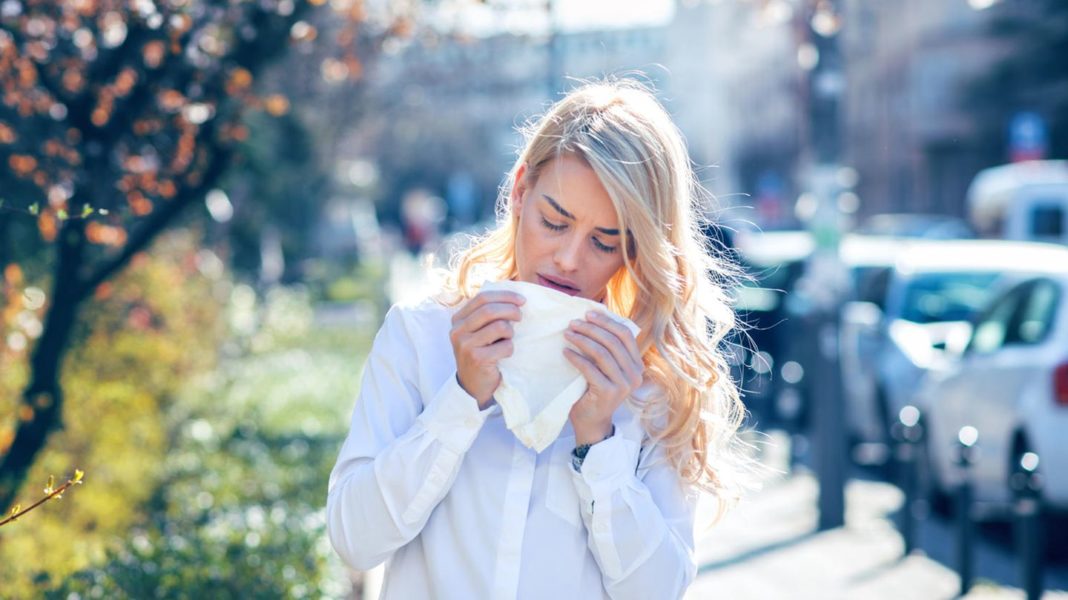 pollen-allergie:-heuschnupfen-–-wie-er-sich-zeigt-und-was-dagegen-hilft pollen-allergie:-heuschnupfen-–-wie-er-sich-zeigt-und-was-dagegen-hilft