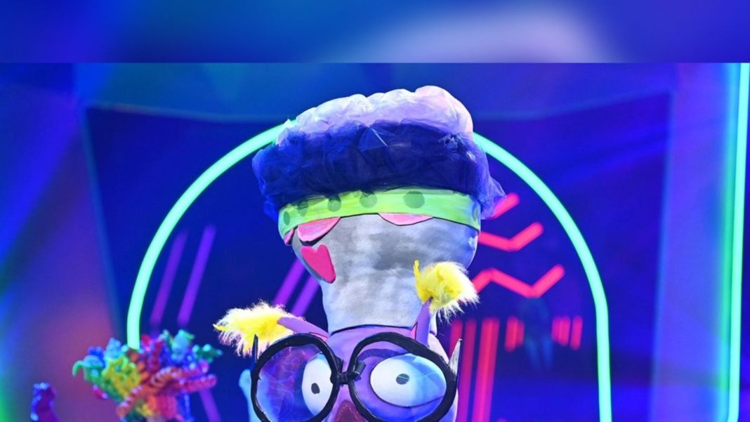 “the-masked-singer”:-diese-moderatorin-steckte-im-brilli-kostuem “the-masked-singer”:-diese-moderatorin-steckte-im-brilli-kostuem