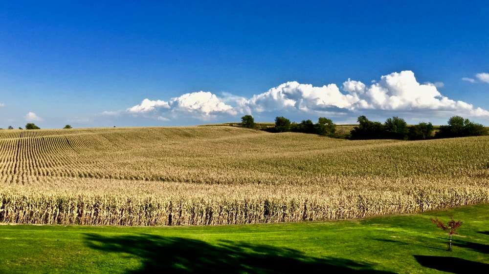 kunst,-kultur,-natur-und-traeume:-das-ist-der-us-bundesstaat-iowa kunst,-kultur,-natur-und-traeume:-das-ist-der-us-bundesstaat-iowa