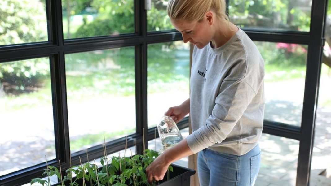 poolspass-+-gemueseanbau:-judith-rakers-begruesst-ihre-neuen-gruenen-mitbewohner poolspass-+-gemueseanbau:-judith-rakers-begruesst-ihre-neuen-gruenen-mitbewohner